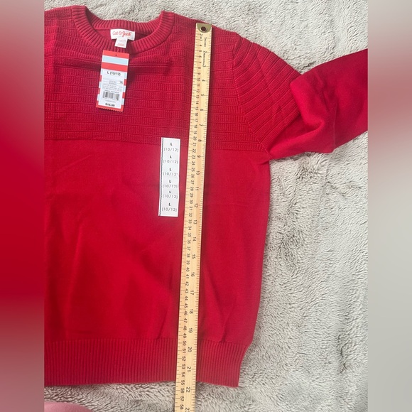 Cat & Jack Red Striped Boys Pullover Sweater Sz 10/12 NWT Crew Neck Jersey - Picture 8 of 11